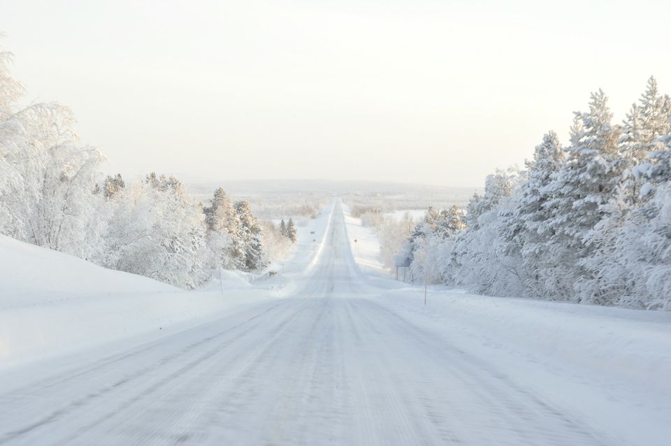 A straight snow-covered road through frosted forest on a bright winter day